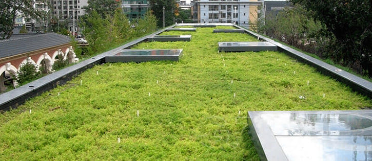 green roof system