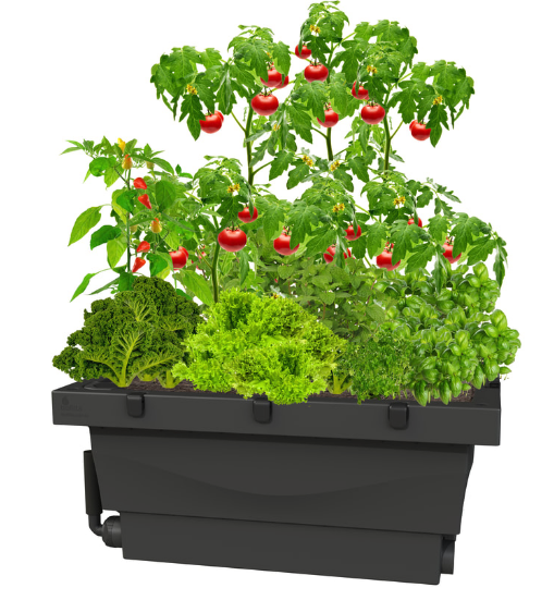 Products — Green Roofs