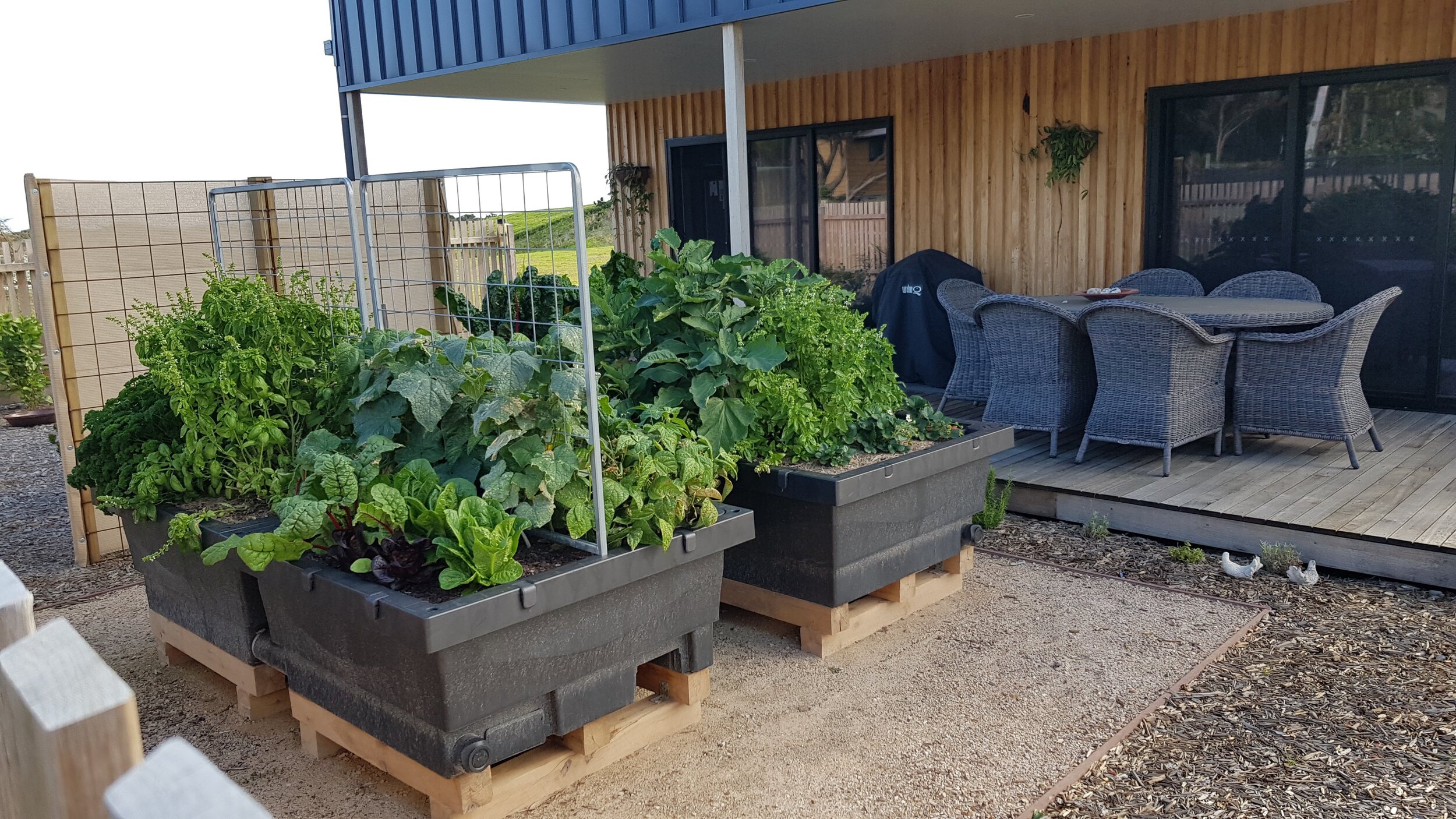 Biofilta Wicking Garden Beds