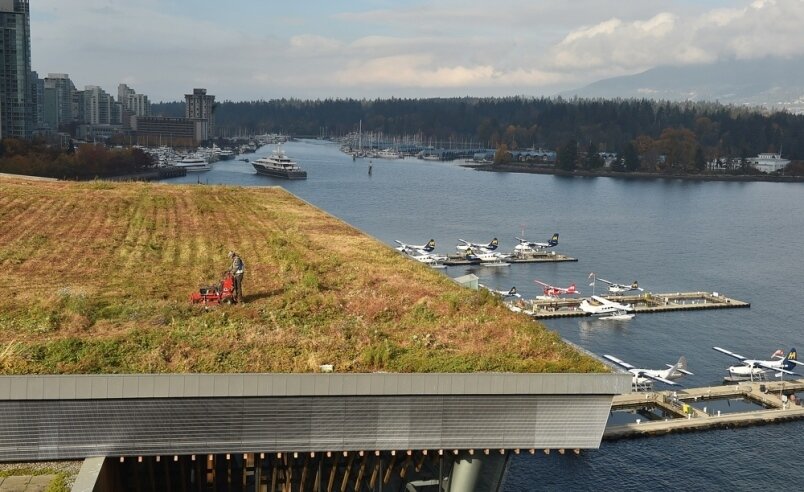 landscaping-crews-mow-the-green-roof-at-vancouver-convention-centre-once-a-year-it-takes-about-two.jpg