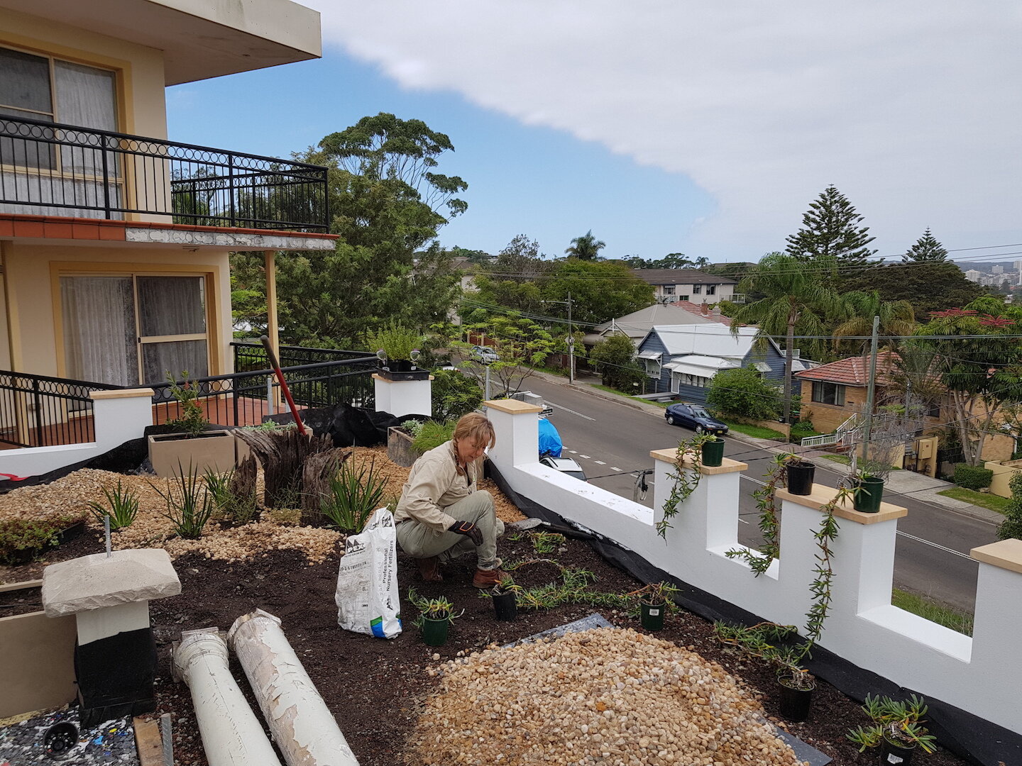 Planting Installation biodiverse roof with Knauf Green Roll 20180403_112112 copy.jpg