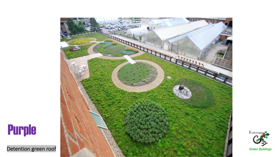 This green roof is a specialised design to provide Stormwater detention, saving additional costs of tanks.