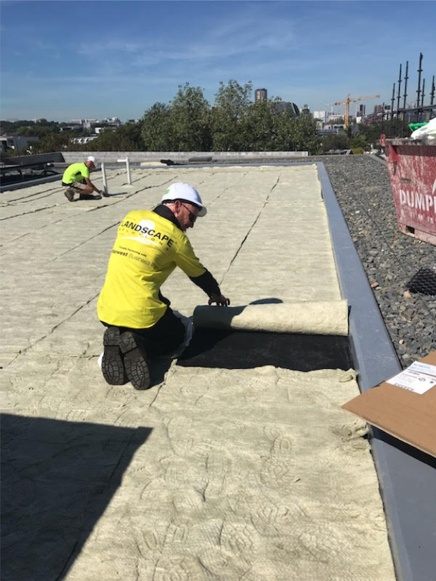 Installing 600M2 of 20mm Urbanscape growing media to improve performance on this light weight greenroof in Sydney.