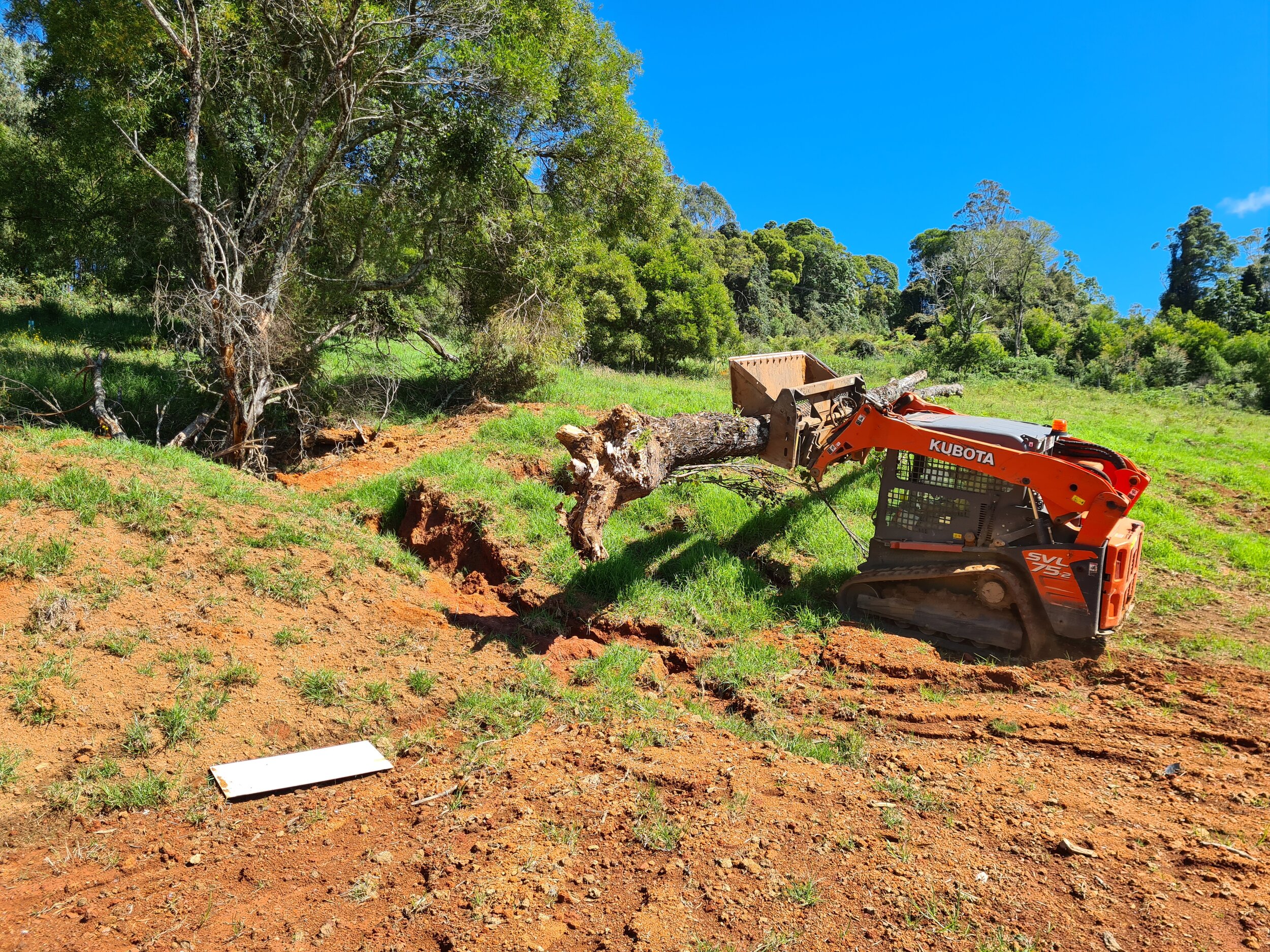 Bobcat erosion control.jpg