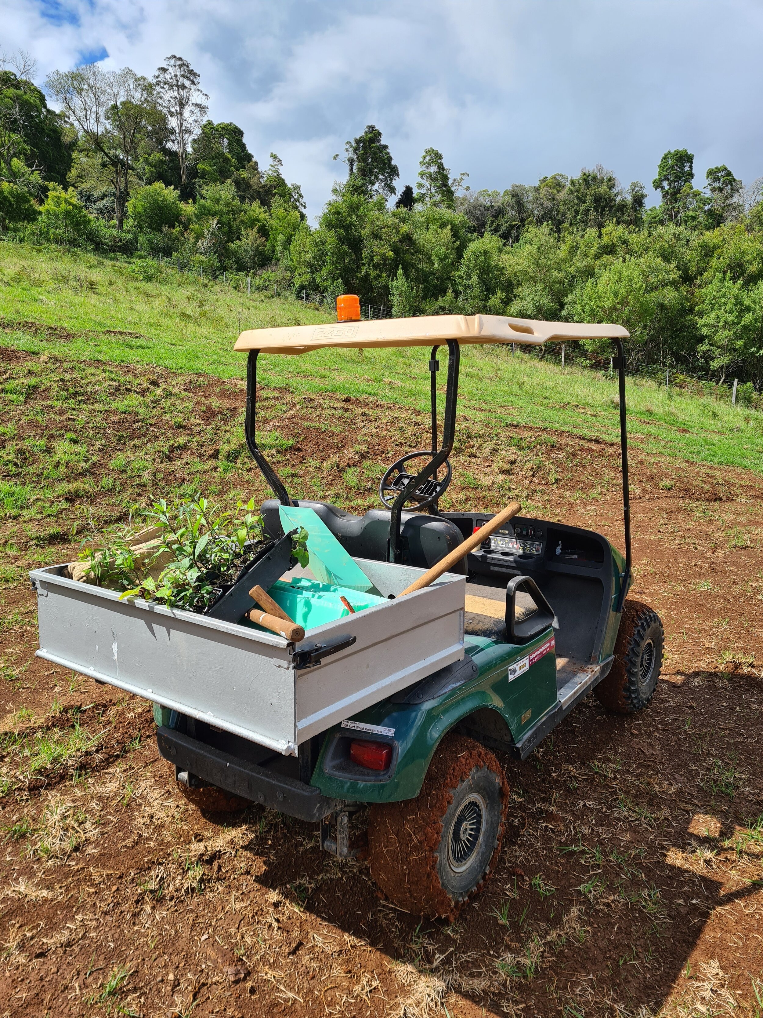 electric work ute.jpg