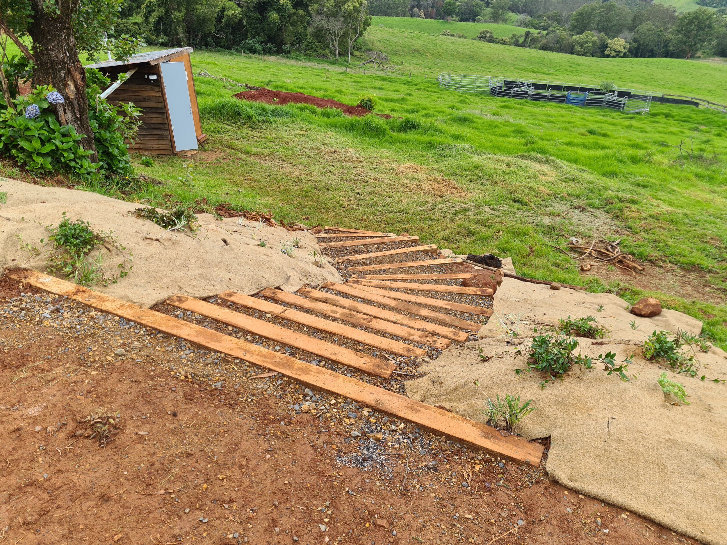 New stairs to toilet.jpg