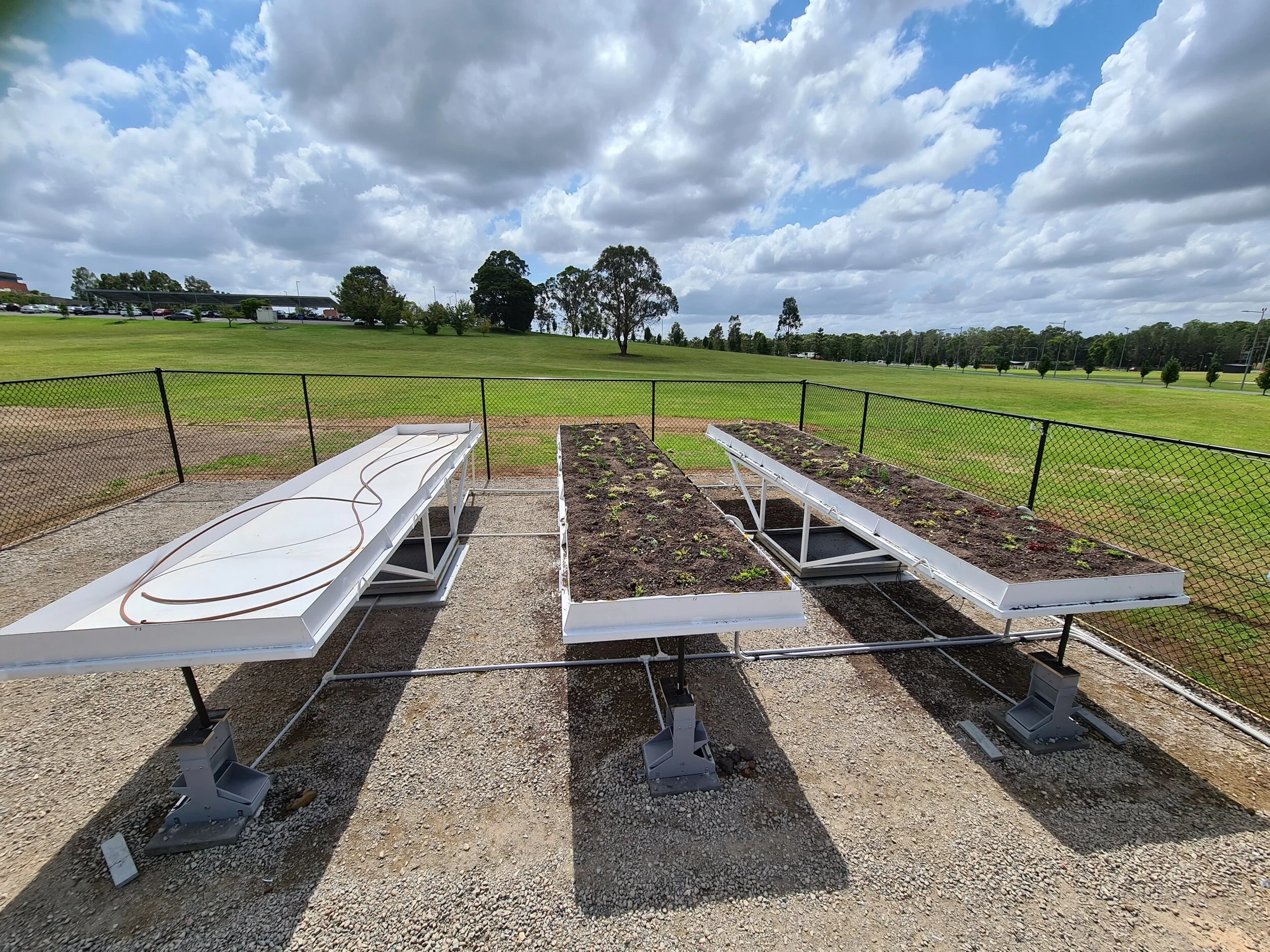 Extreme greenroof analysis.jpg