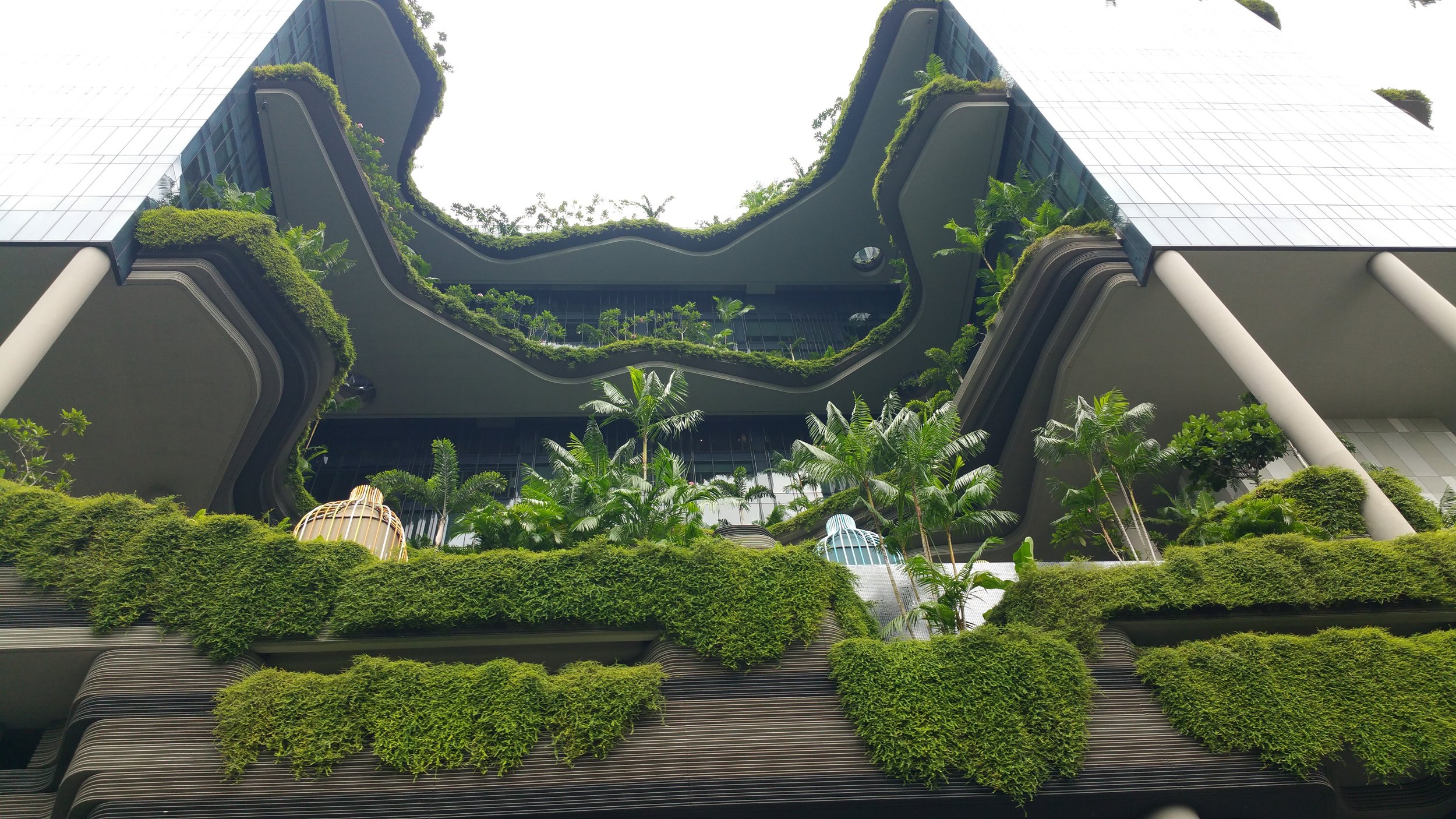 Green infrastructure training supported by the NSW Parks and Liesure ...