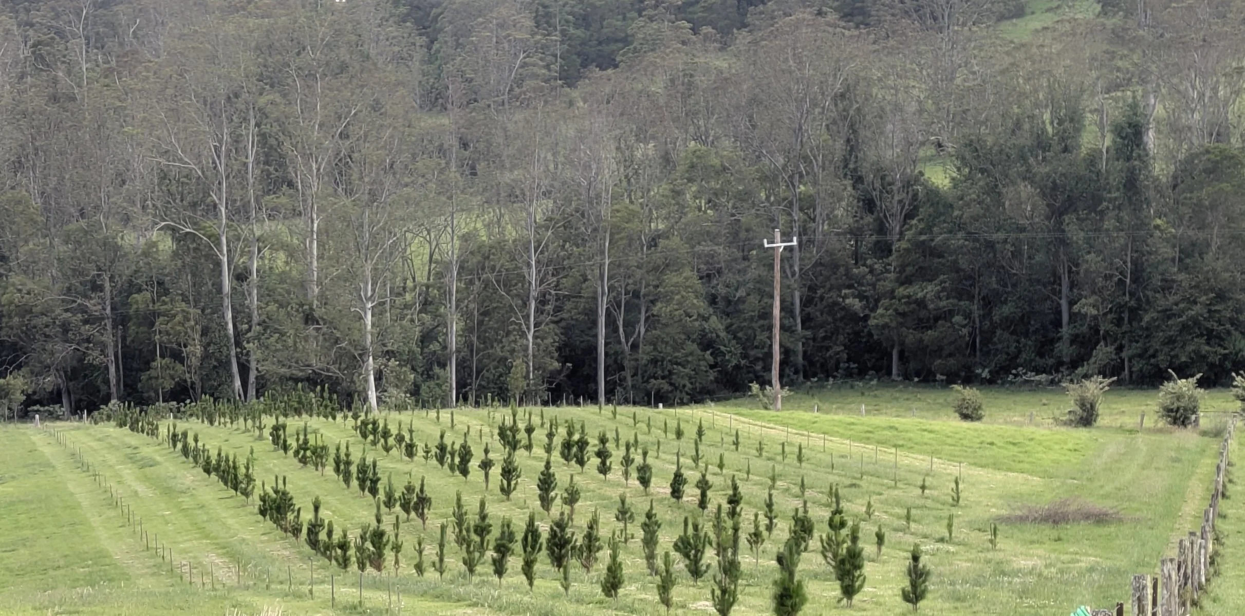 PXL_20251109_070635623 (1).jpg