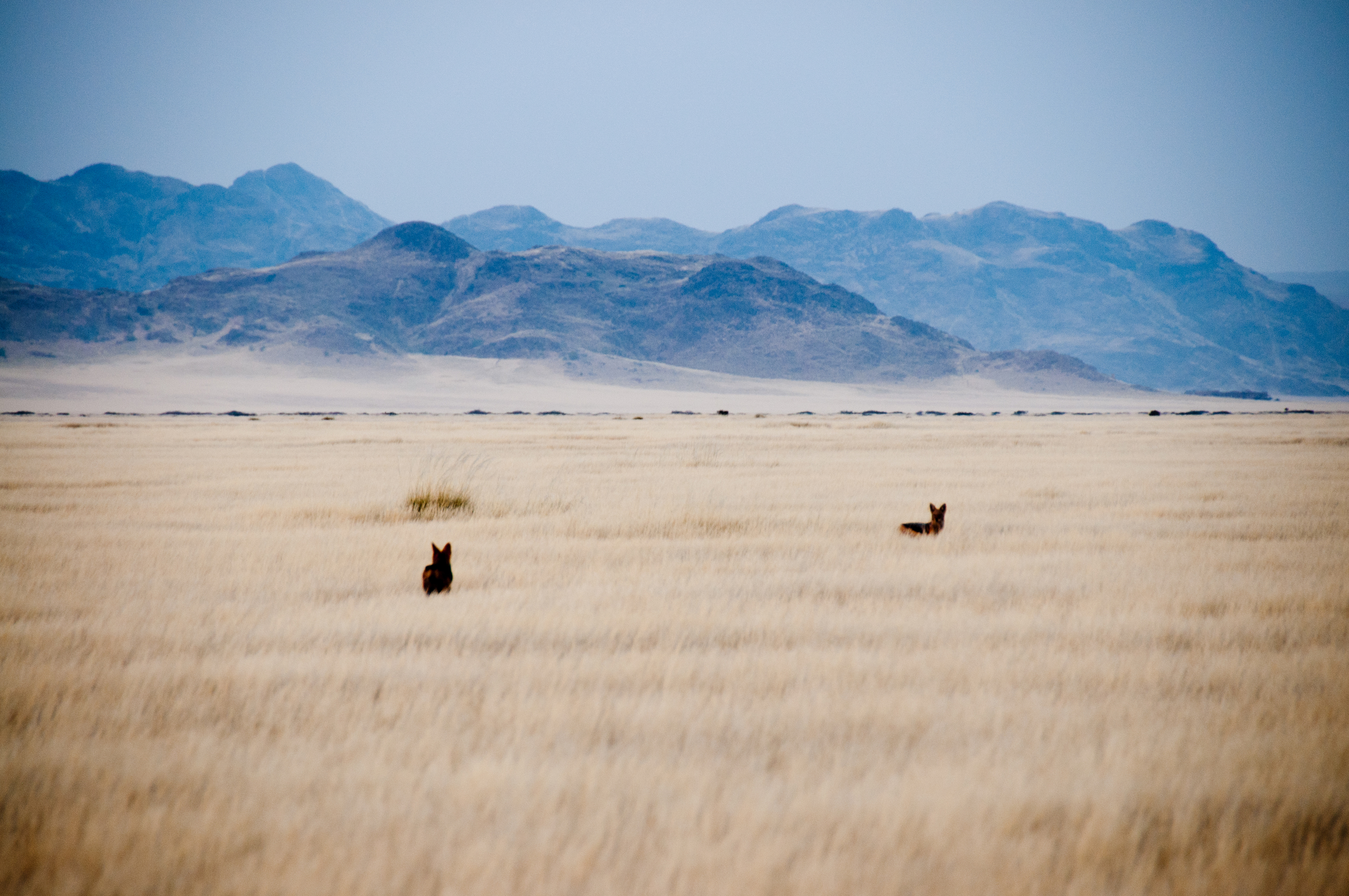 Naukluft-Namib, Namibia