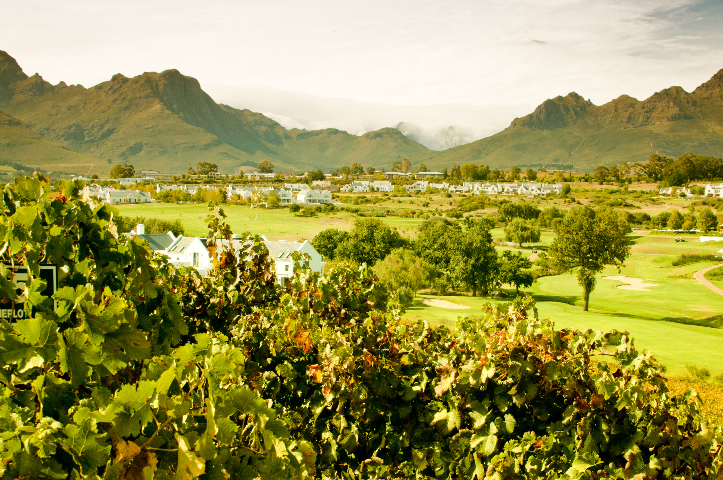 The Kleine Zalze estate