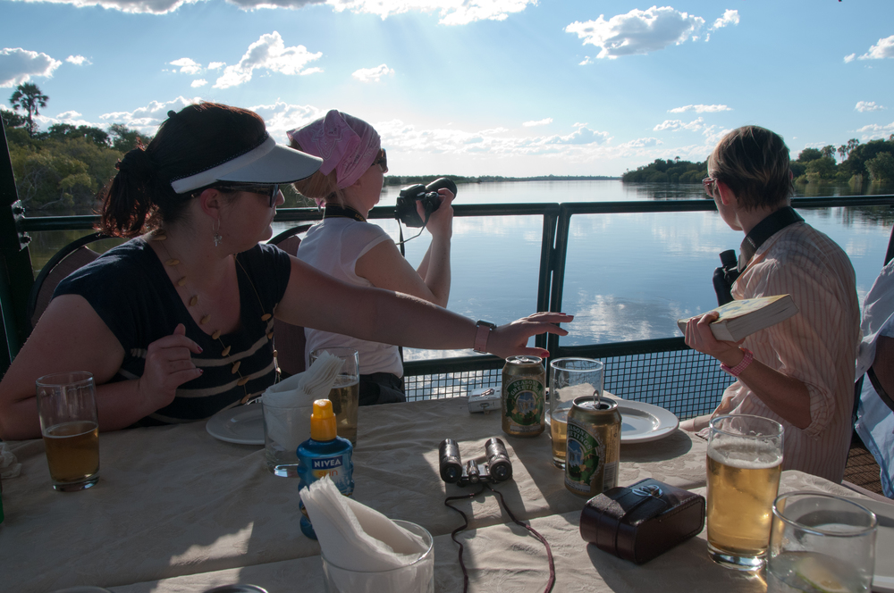 Busy identifying birds