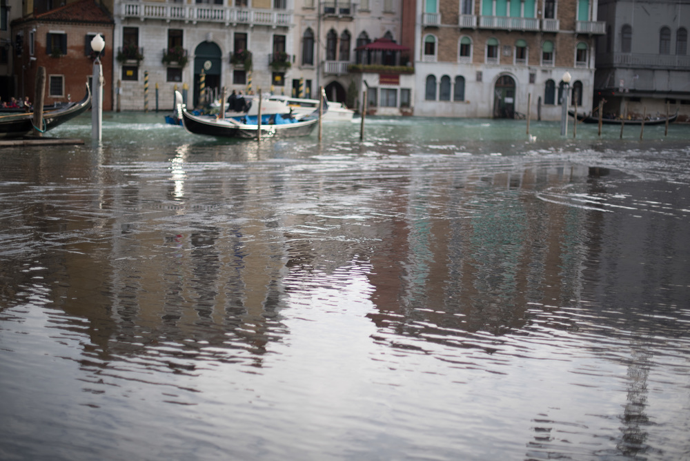 Venice 201412-15.jpg