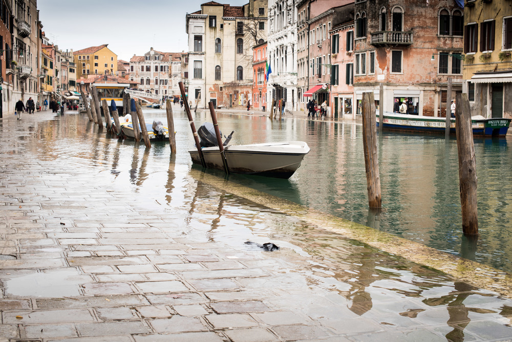 Venice 201412-31.jpg