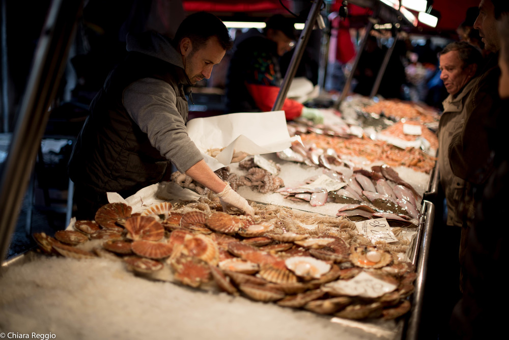 Venice 201412-5.jpg