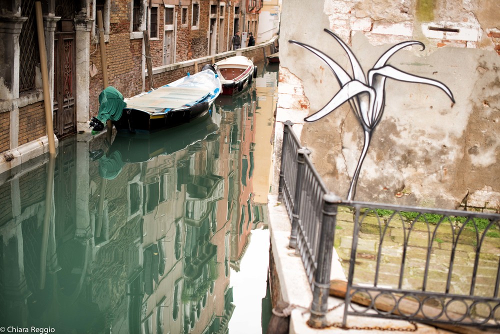 Venice 201412-40.jpg