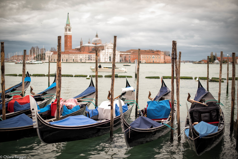 Venice 201412-52.jpg