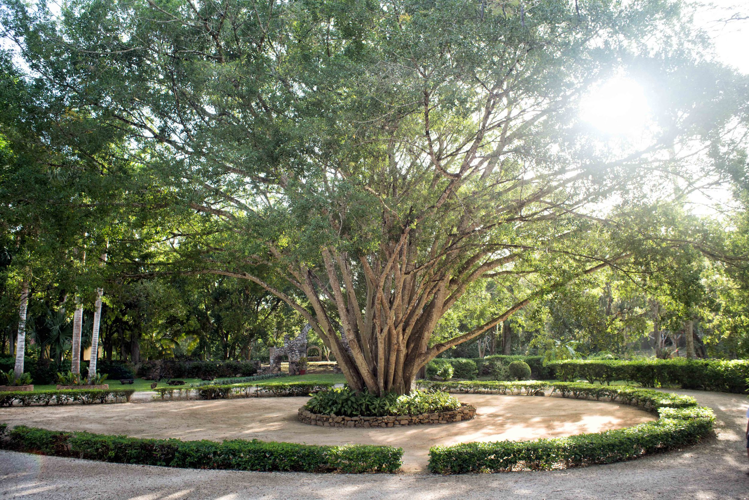  Hacienda Chichen Itza, main entrance 