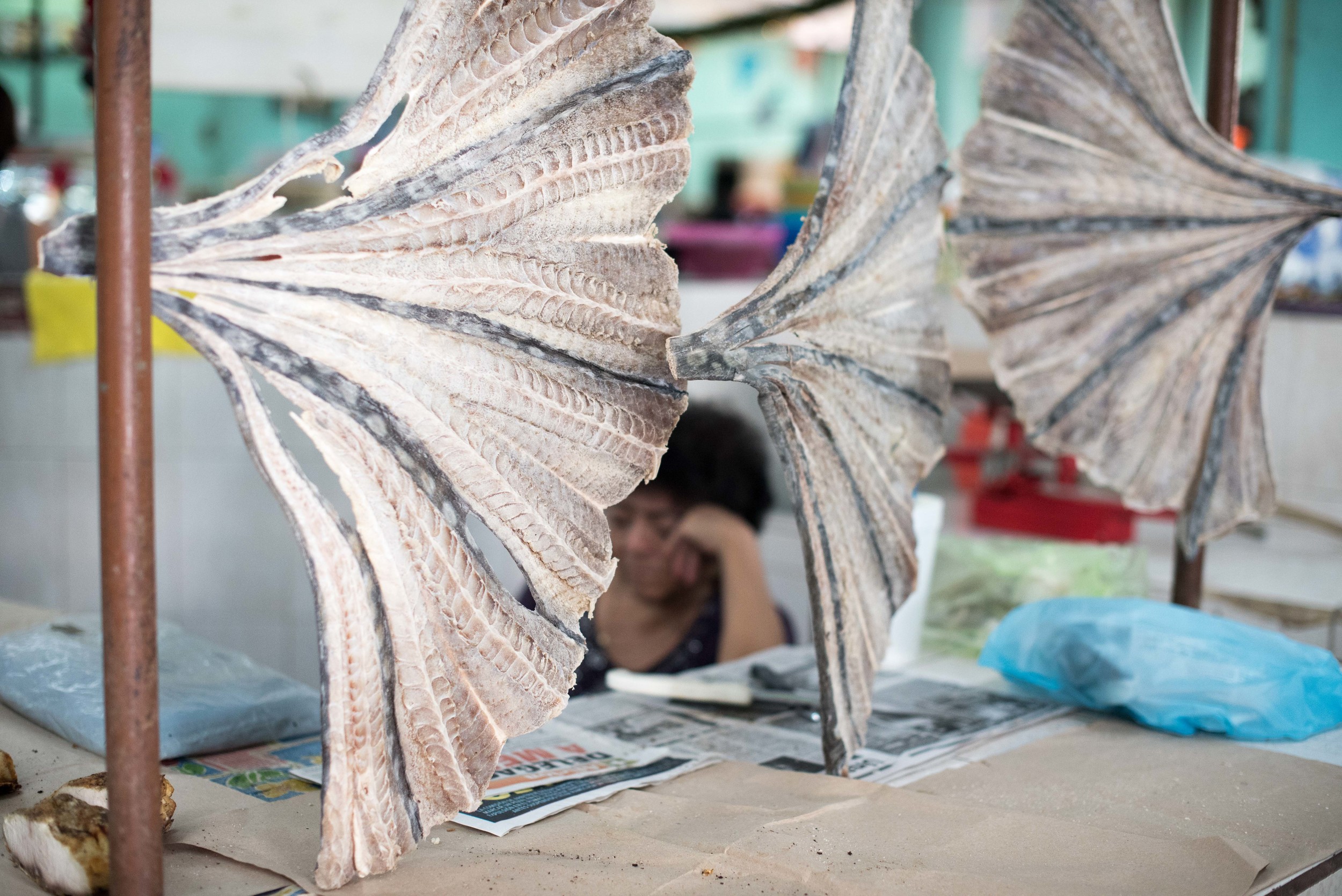  Merida, fish market 