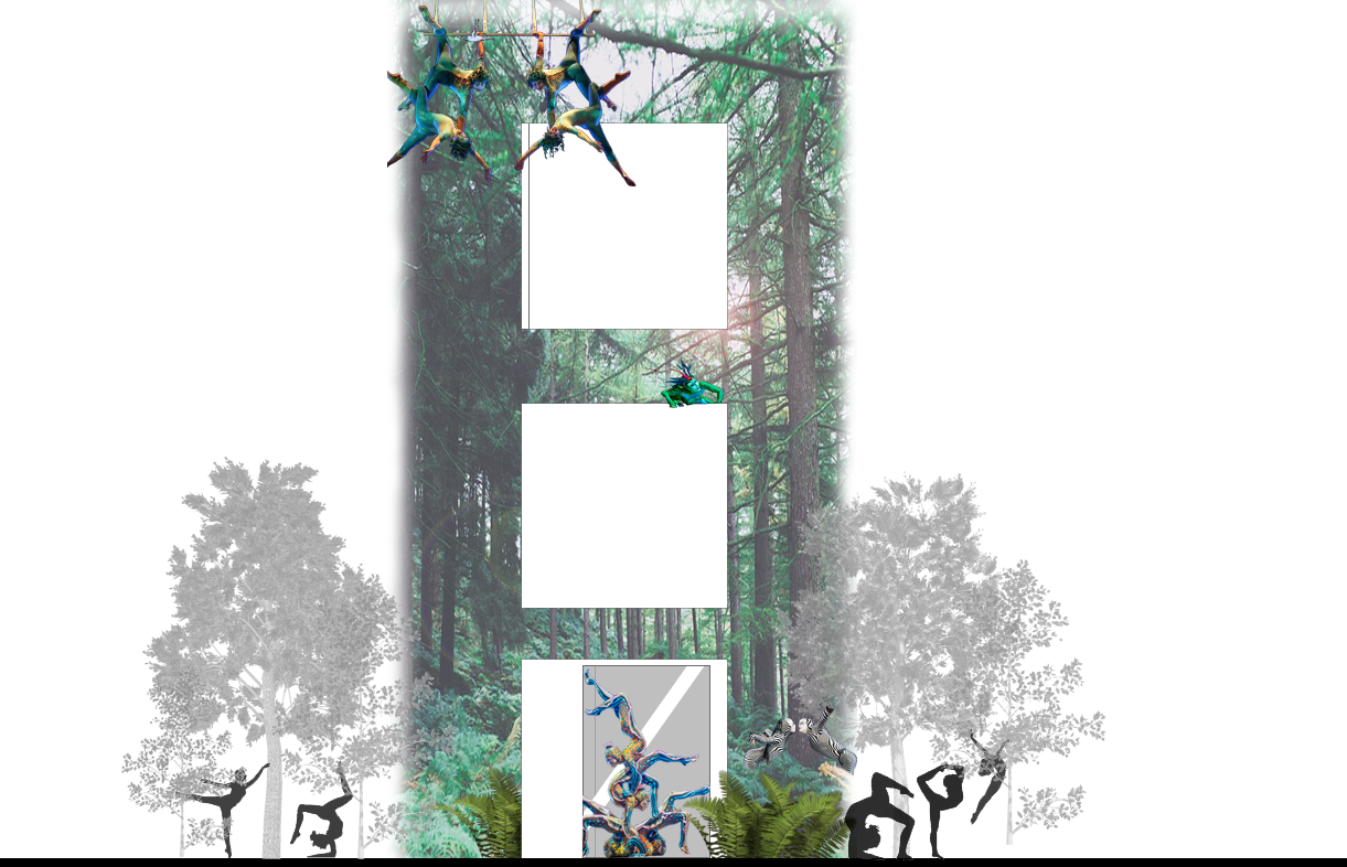 NATURES PLAYGROUND - ELEVATION.png