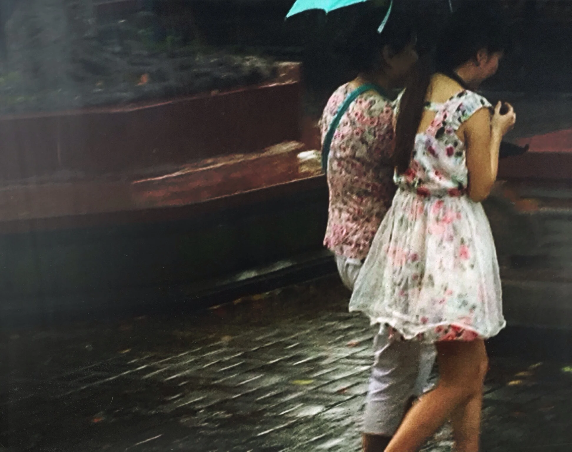 tropical rain.jpg