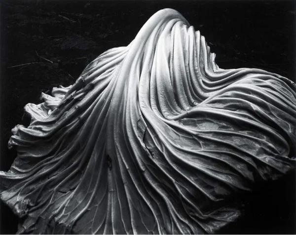 Transient