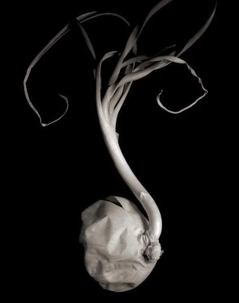 Transient