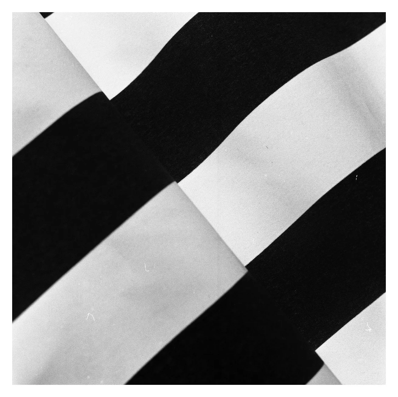 Hassel_BW316.jpg
