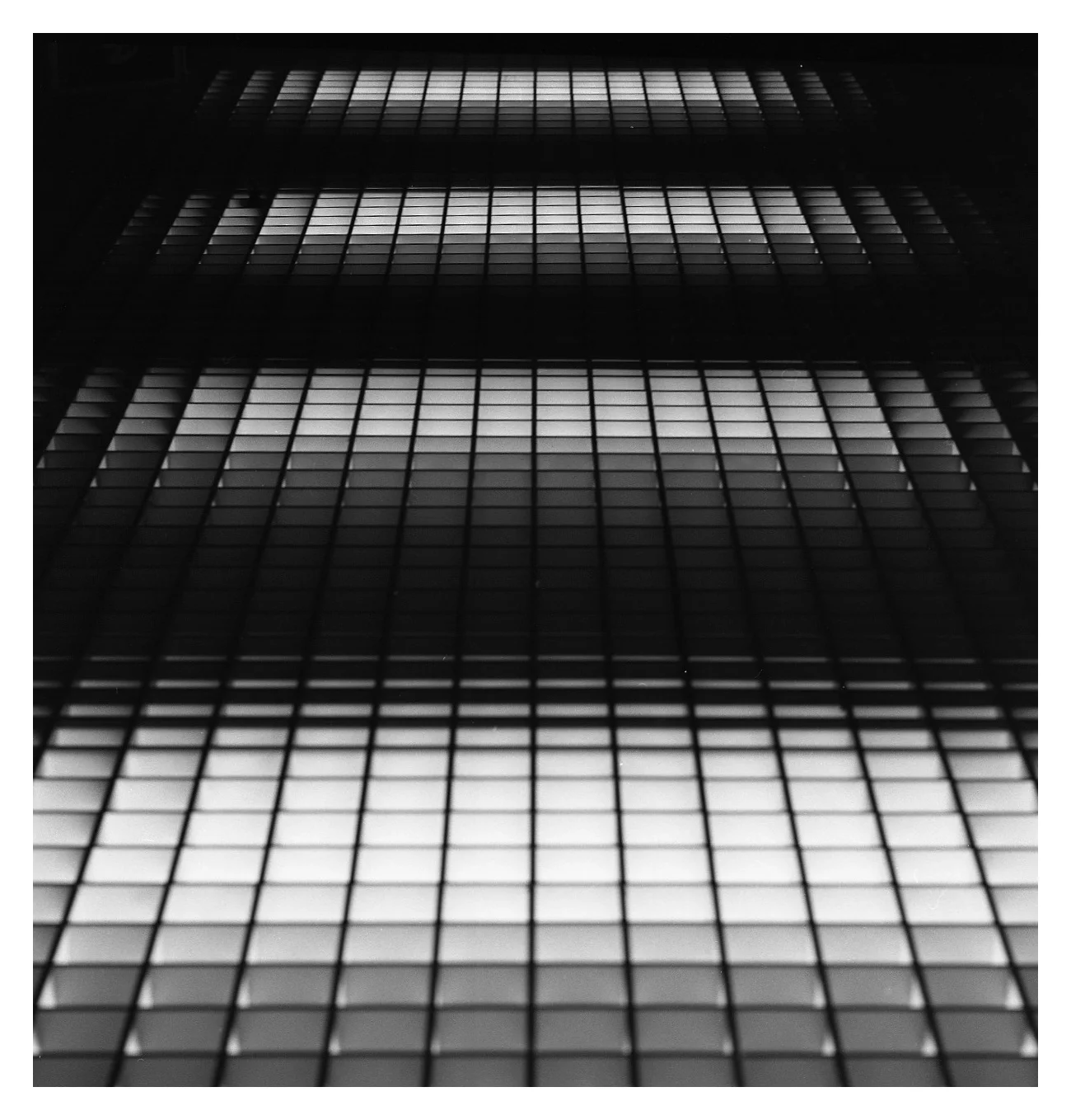 Hassel_BW315.jpg