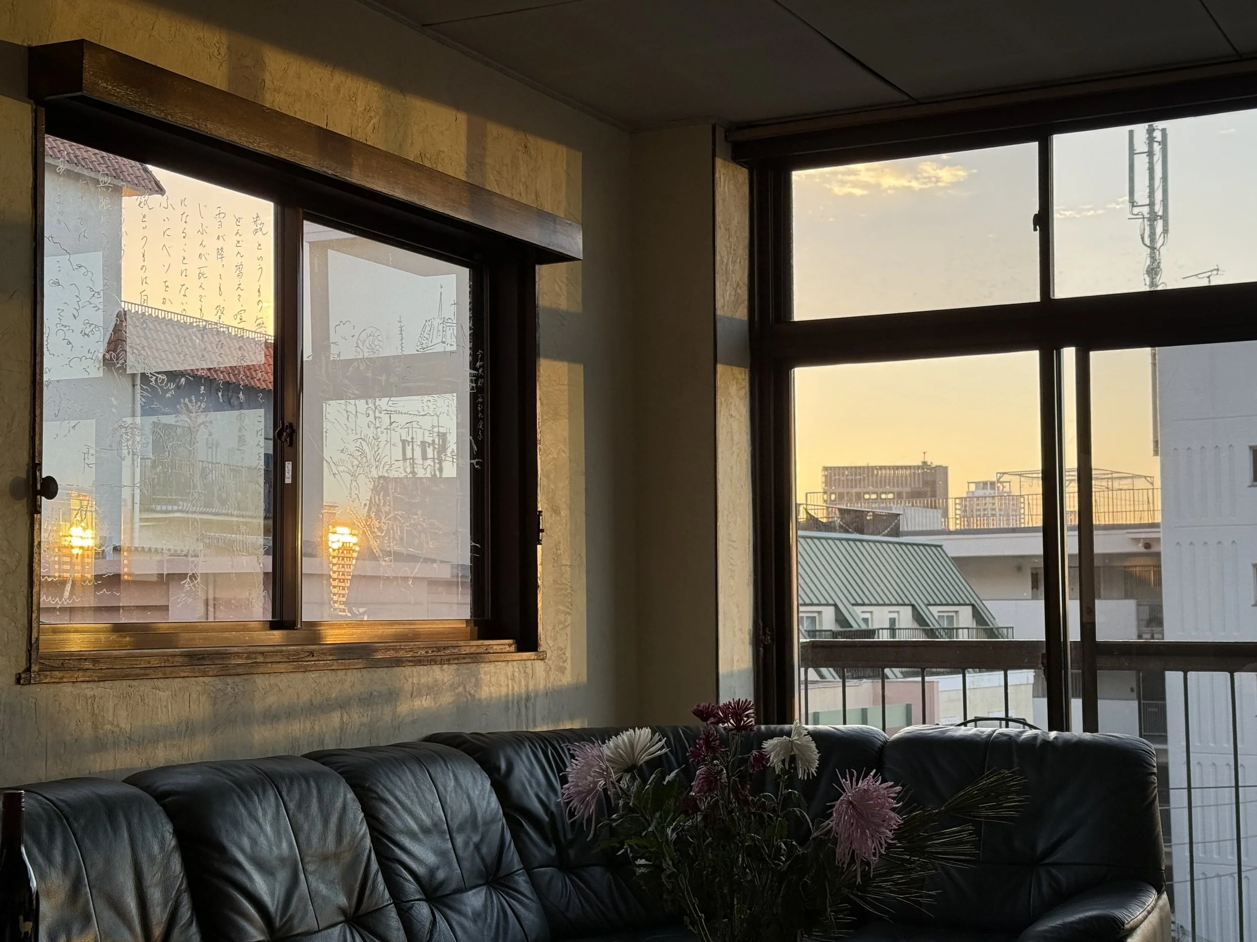 IMG_0916.jpeg