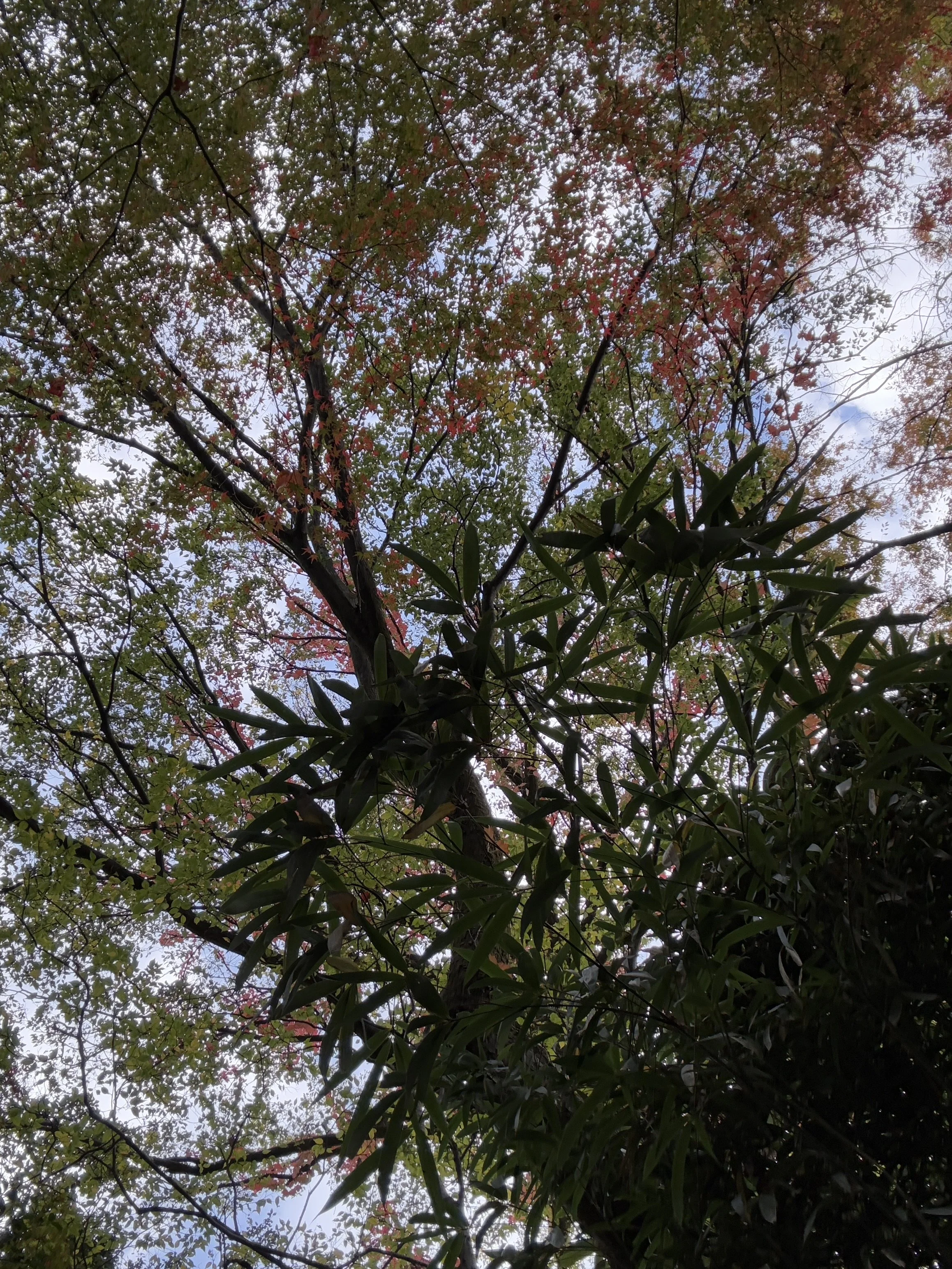 IMG_1191.jpeg