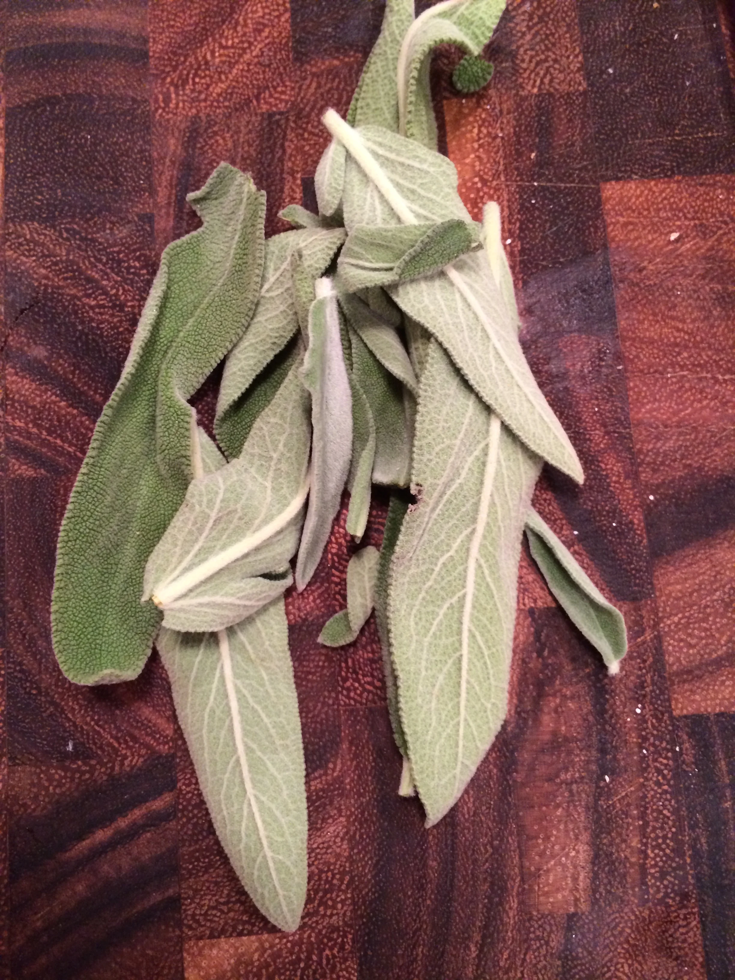 Sage!