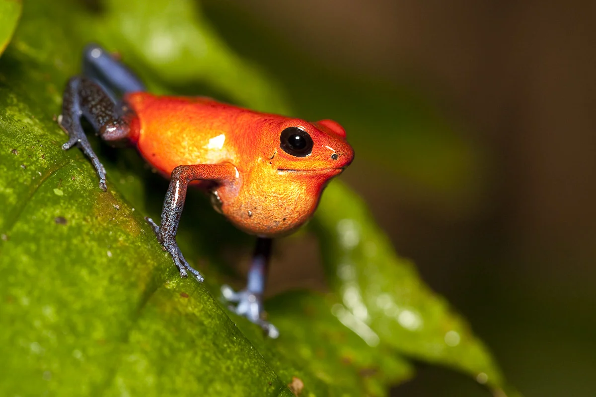 Costa Rica-5.jpg