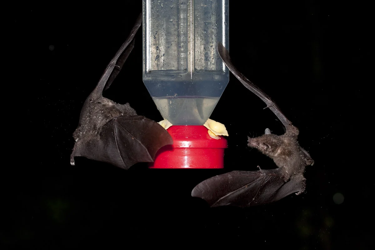Costa Rica-23.jpg