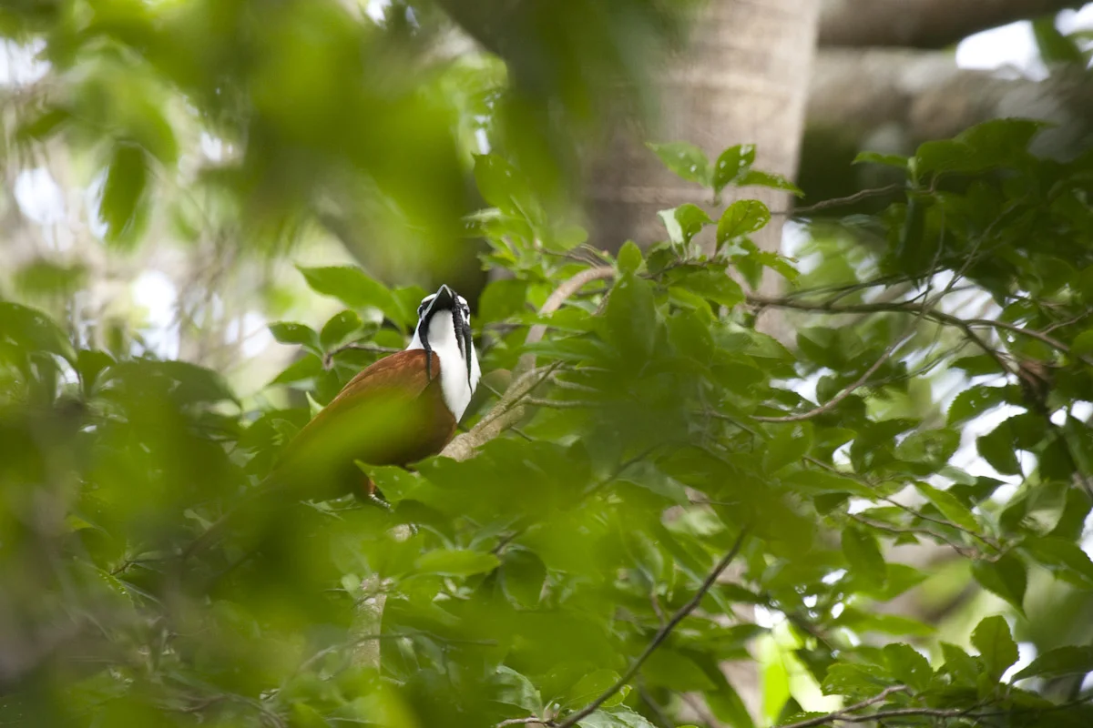 Costa Rica-28.jpg