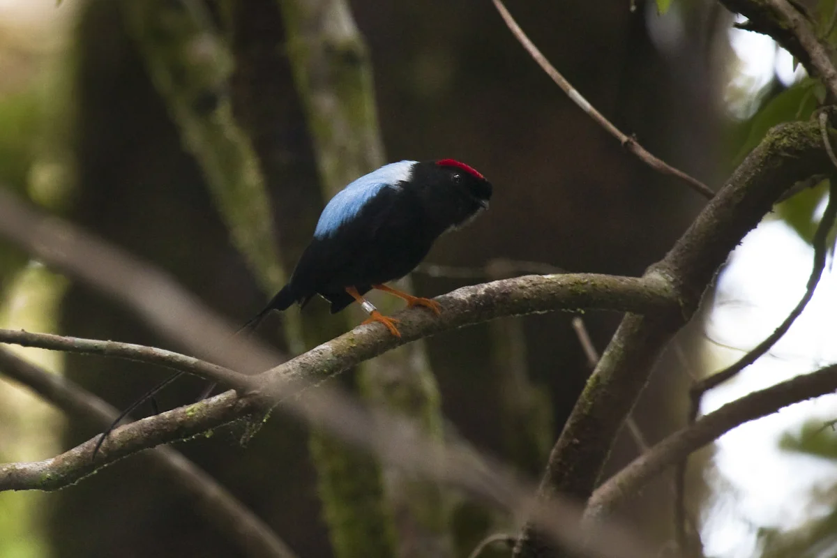 Costa Rica-29.jpg