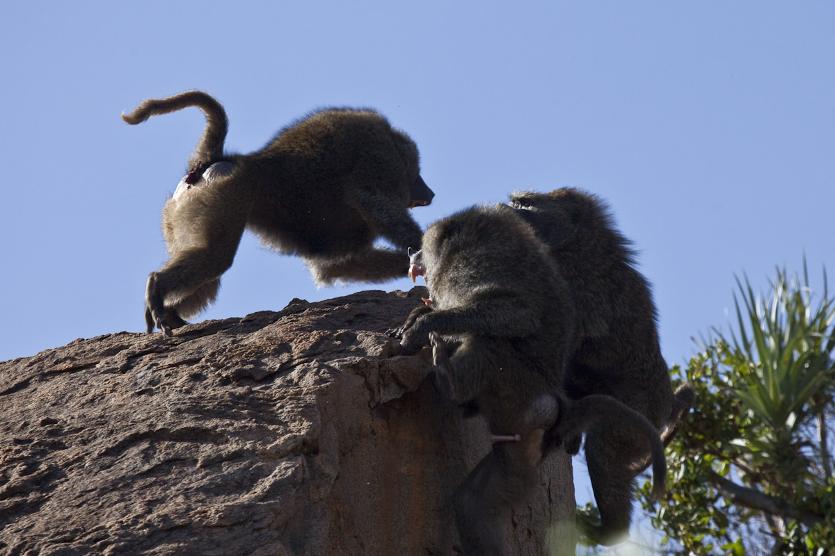 Kenya 2014-9.jpg