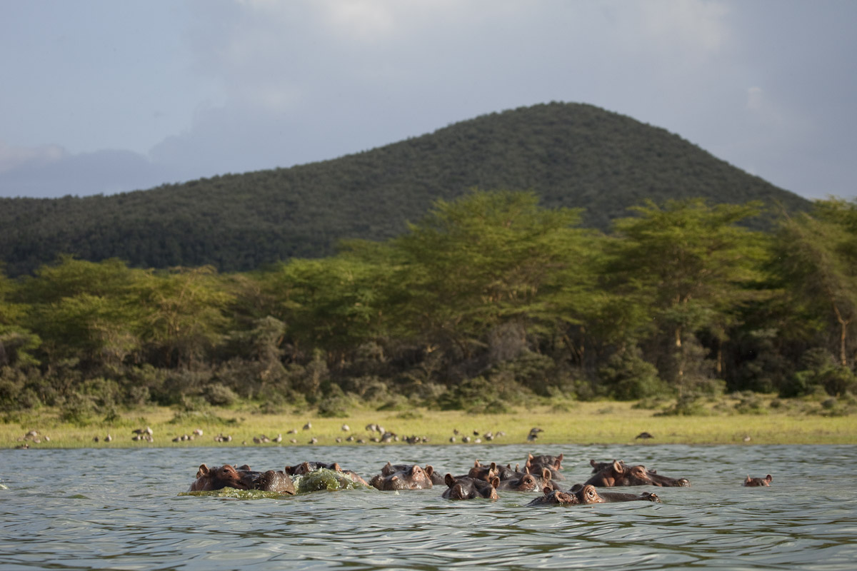 Kenya 2012-3.jpg
