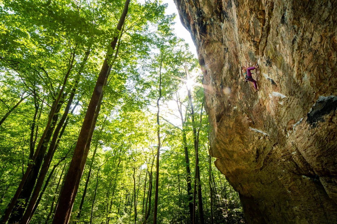 Jenn climbing on the mega class line, “Mercy The Huff”