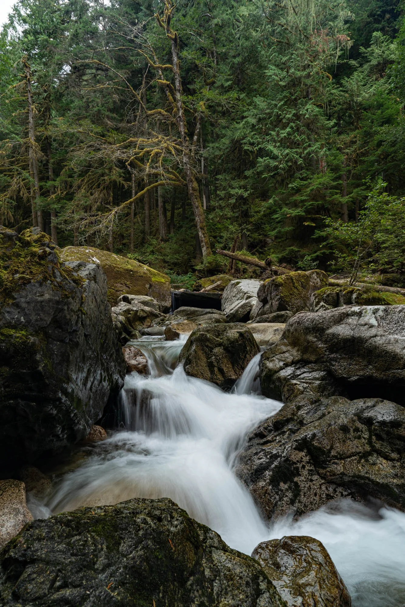 Stawamus River