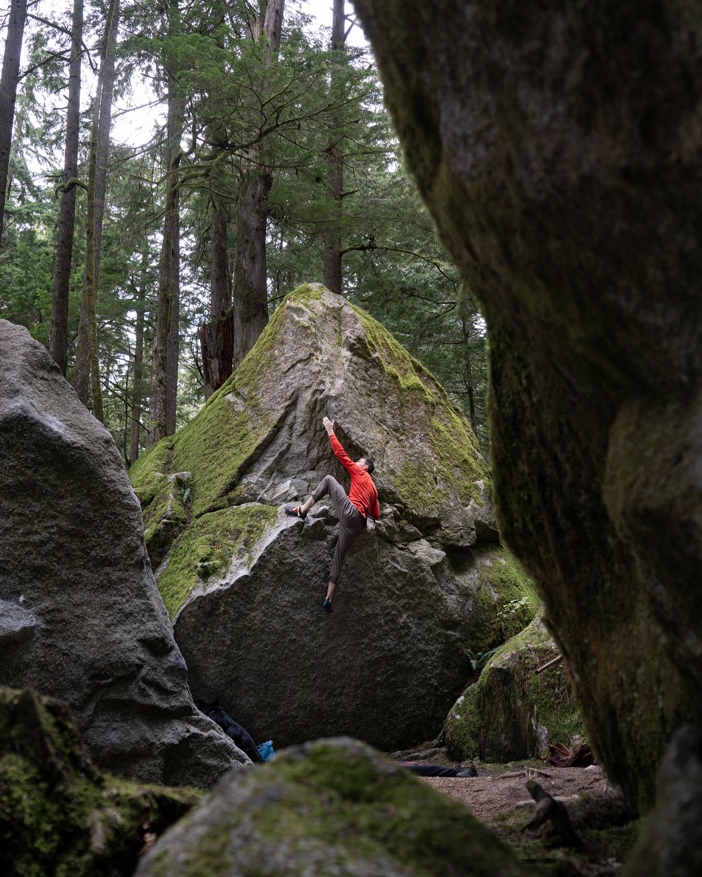 Megalodon sure is a good looking boulder. The flat landing makes it even more inviting.

#climbing #climbersover40 #squamish #squamishadventure #sonyalpha #sonycanada