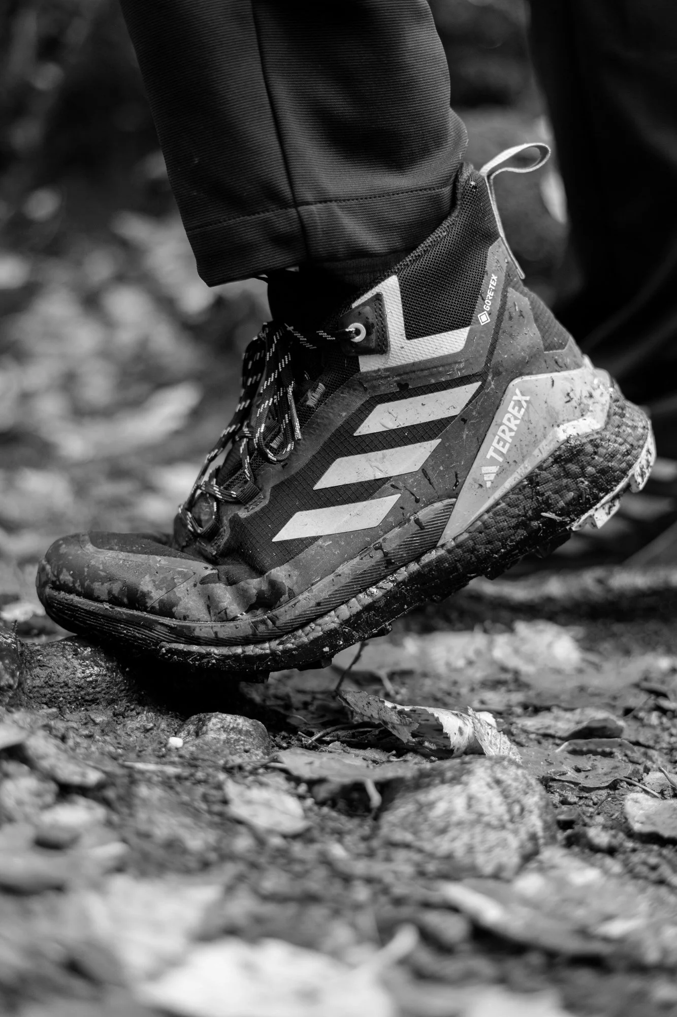 Adidas Terrex | Altitude Sports