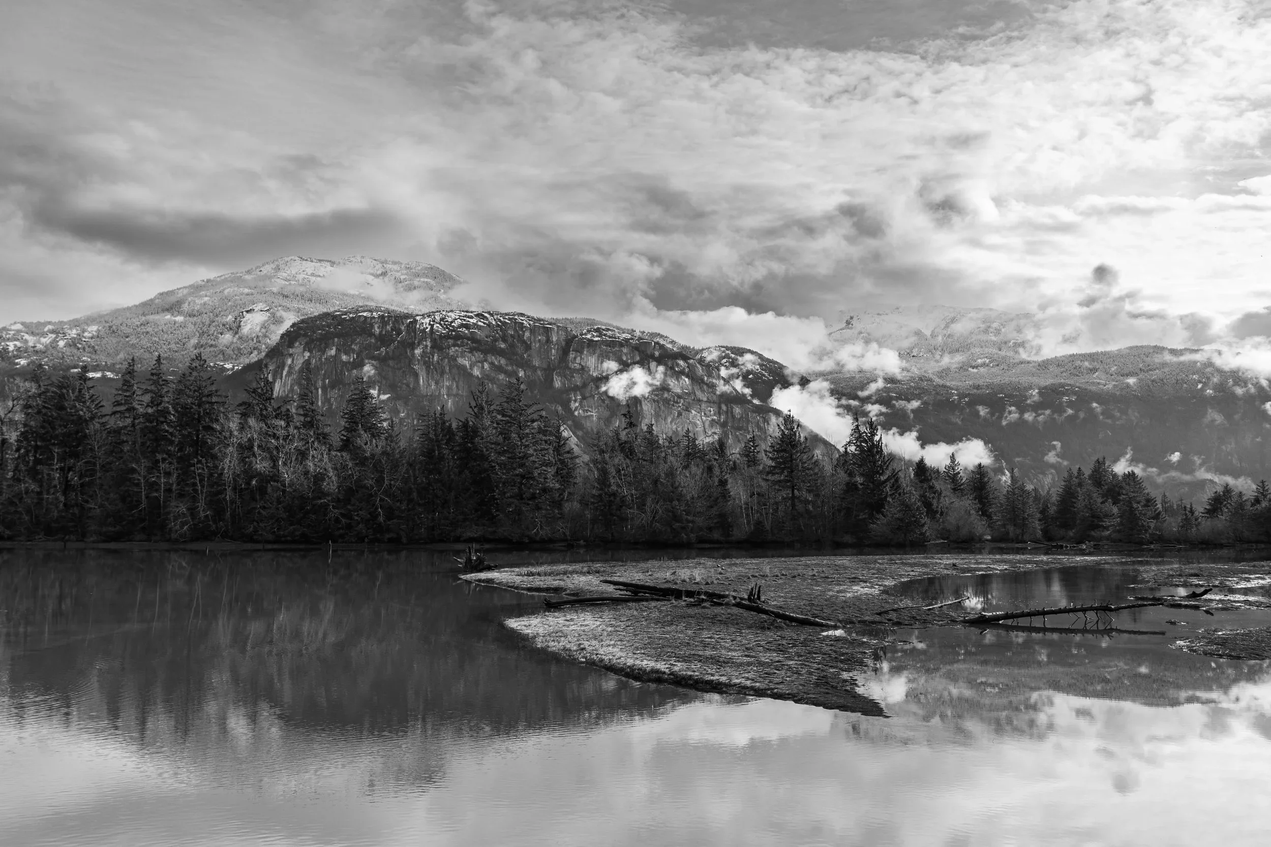 Wet Foreground