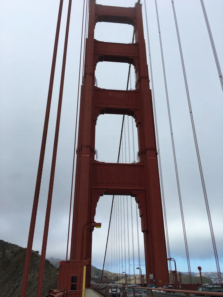 IMG_3566.JPG
