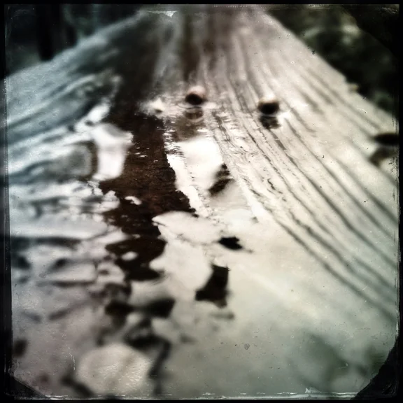 " Rainy Squirrel Turds " Feb. 2013