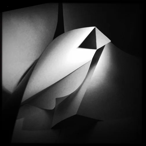 The Shape of Light #4