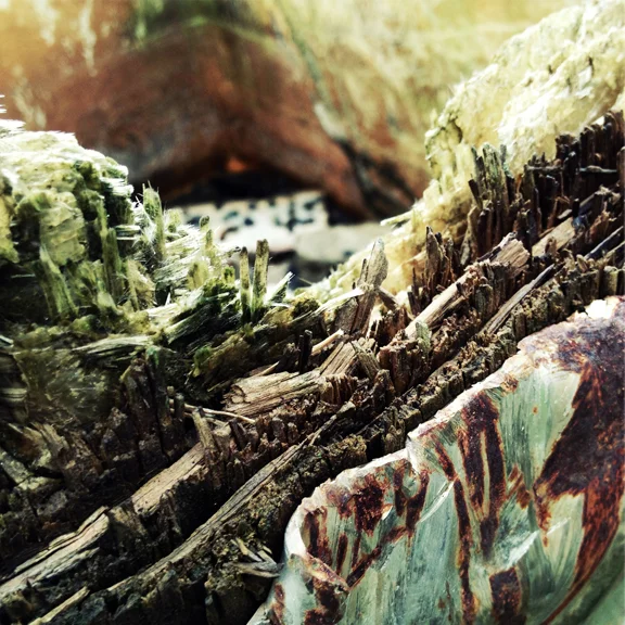 " Rust Rot Row " photography