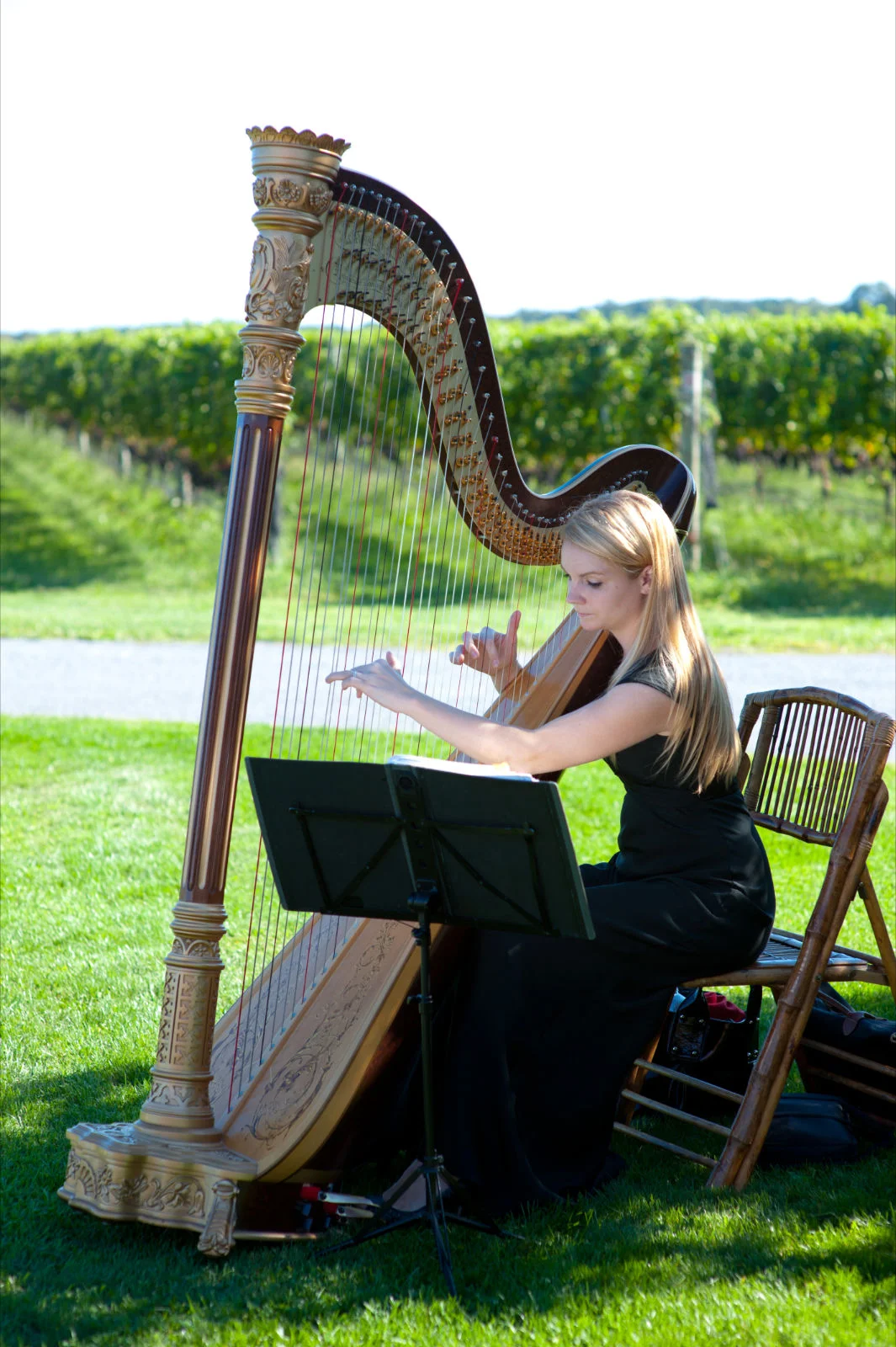 WEDDINGS & PRIVATE EVENTS information for New York Harpist Kristi Shade