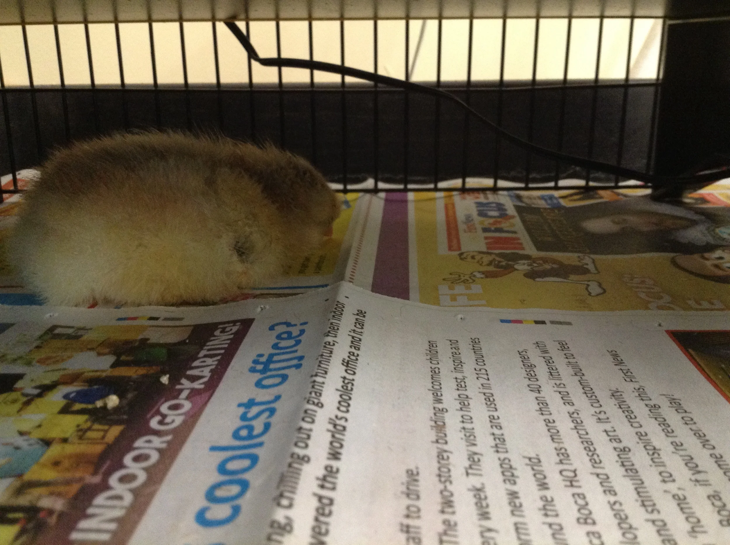 Snooze time.