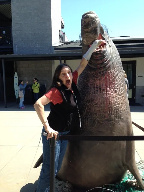 IAAAM Conference 2013_03